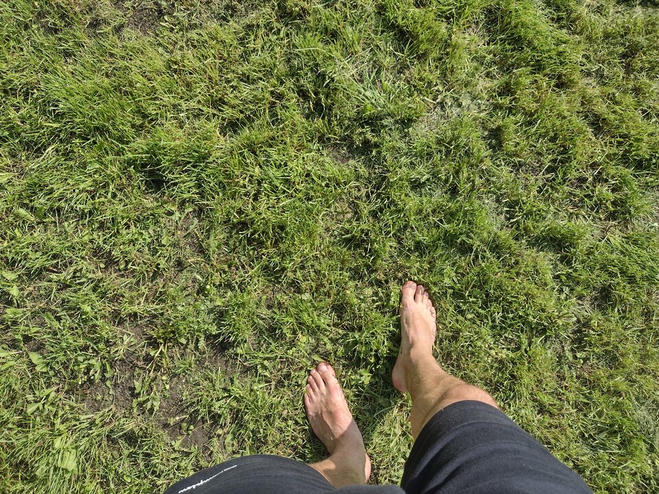 IMG_20220814_155256662_HDR.jpg - Diamond_stud