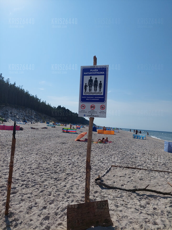 20220814_152531.jpg - kris26440