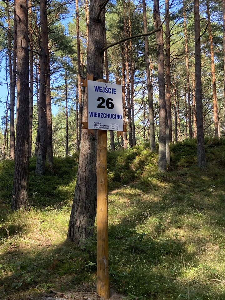 774E4576-40A7-4070-87FC-D3A6EECB6A93.jpeg - LFC22