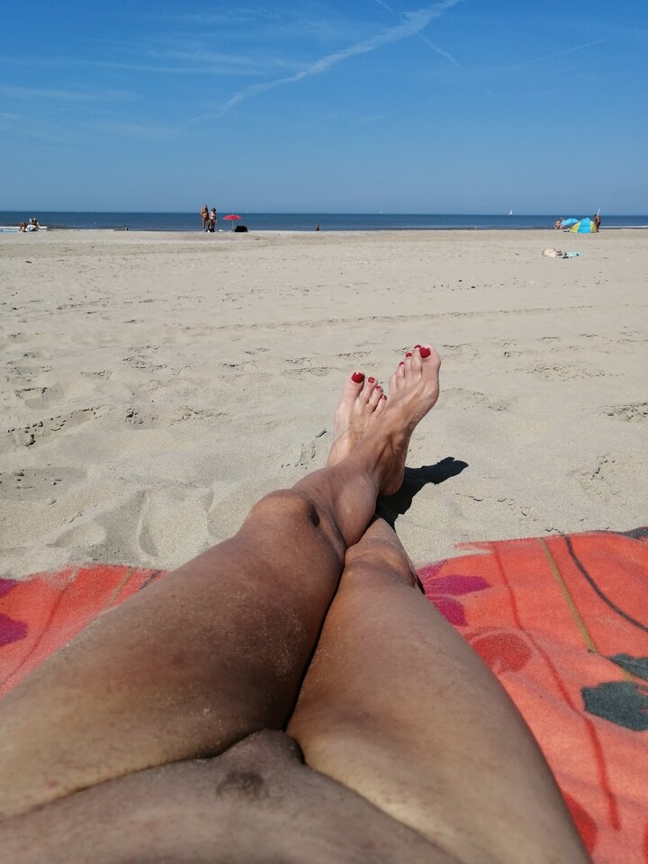 Noordwijkerhout.jpg - ElisCross