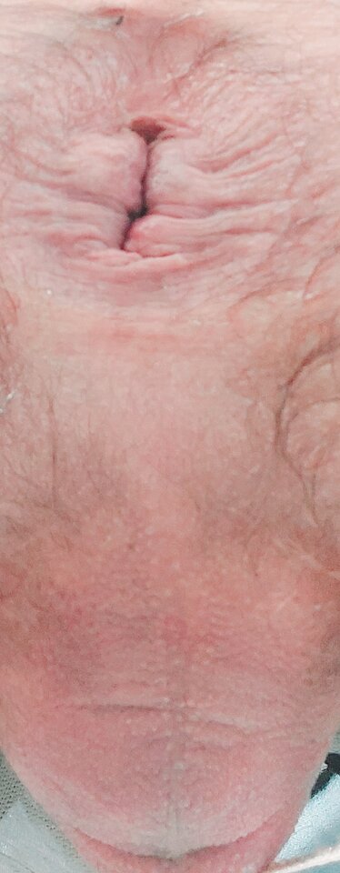 20220814_180712.jpg - MoniczkaPrzebieralska