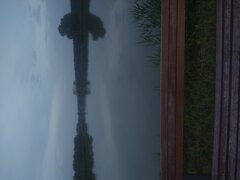 IMG_20220814_194056134.jpg