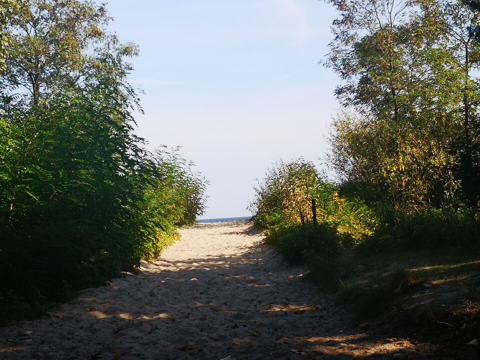 IMG_20210929_125538.jpg - Tomasz39lat