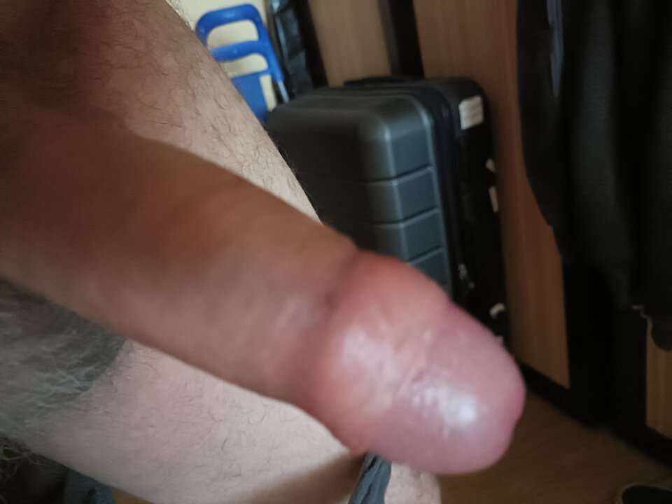 1660547008826746827845009944683.jpg - ardas1