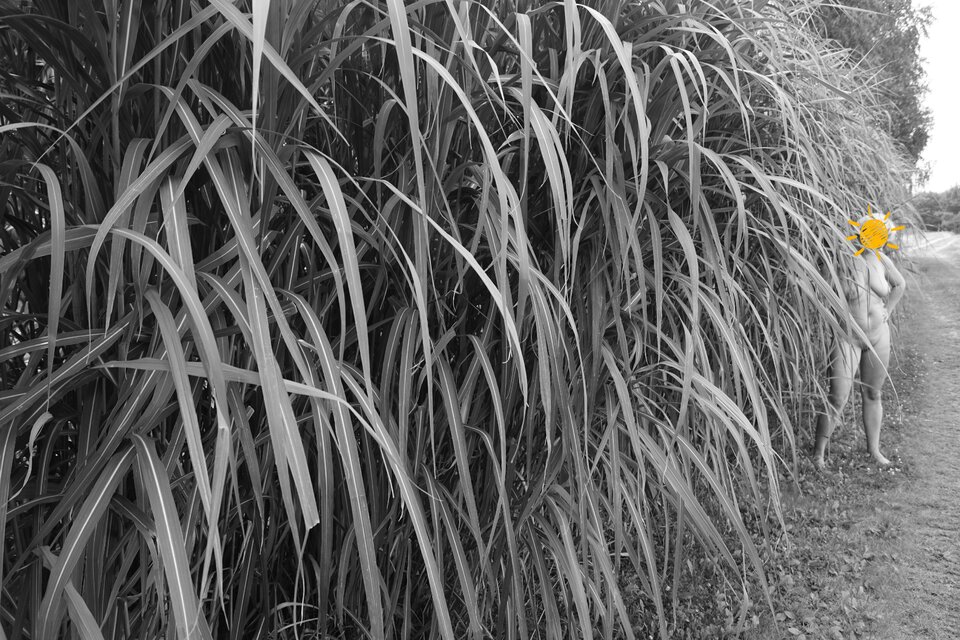 20220815_091755.jpg - MiMoPara