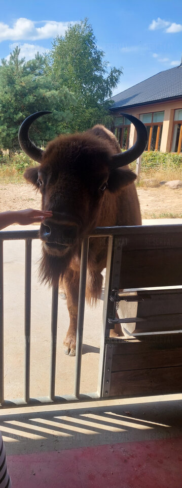 20220814_133737.jpg - reserva1