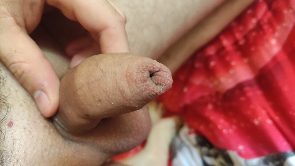 IMG_20220815_101208.jpg - Kriss7788