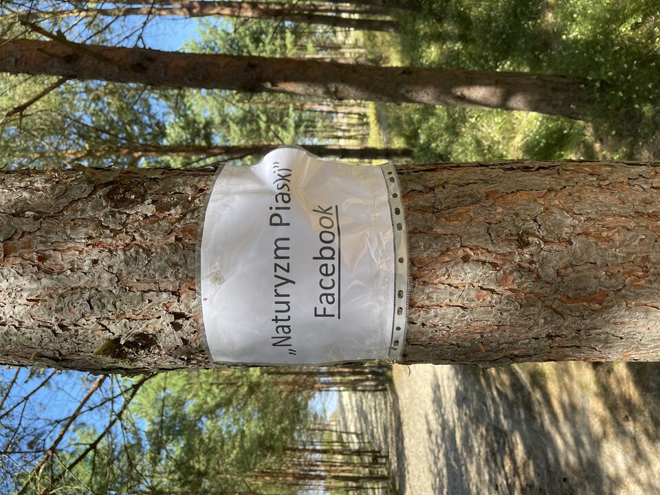 58638FEC-15E2-4DAF-BCF7-A3FFC03E78FF.jpeg - Zadlo