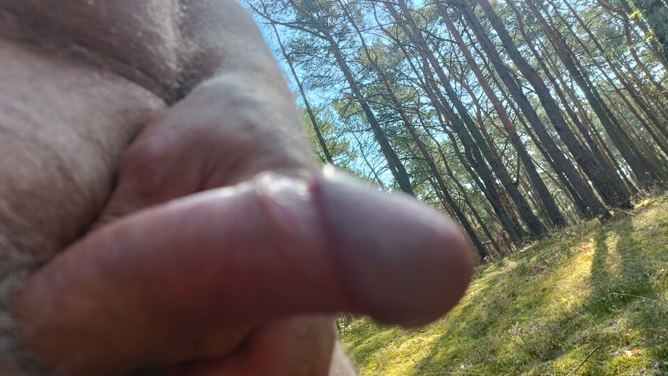 IMG20220815111150.jpg - ardas1