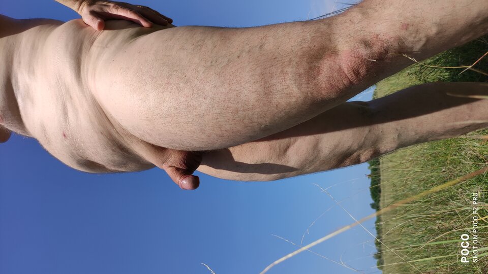 IMG_20220815_120817.jpg - LewBaran