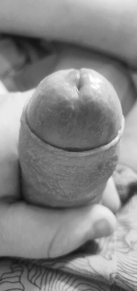 IMG_20220815_163220__01.jpg - fajnykutasek25