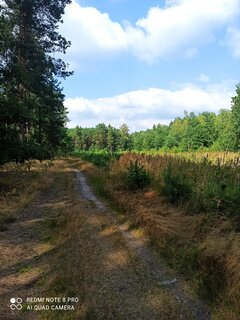 IMG_20220814_150610.jpg