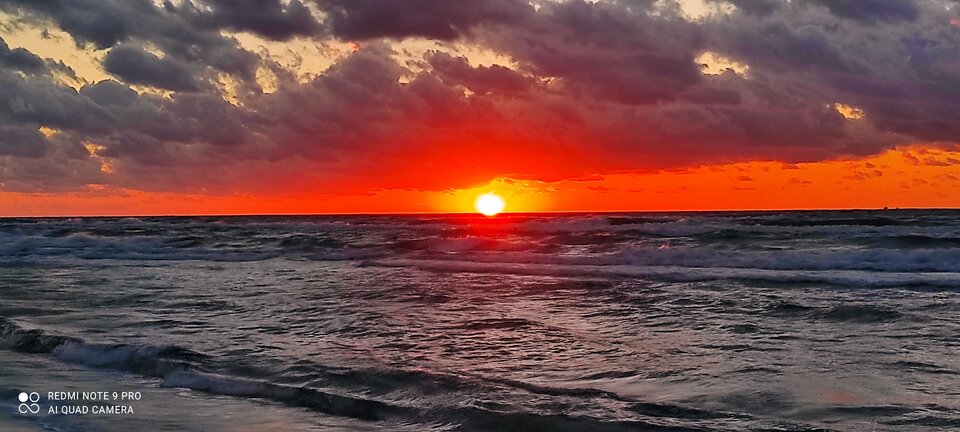 IMG_20220807_205546.jpg - bialy198