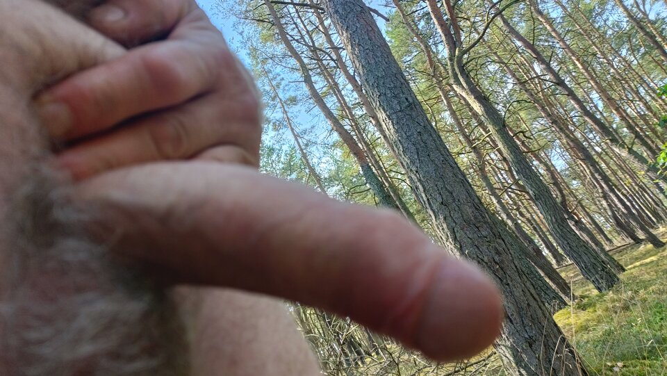 IMG20220815111137.jpg - ardas1