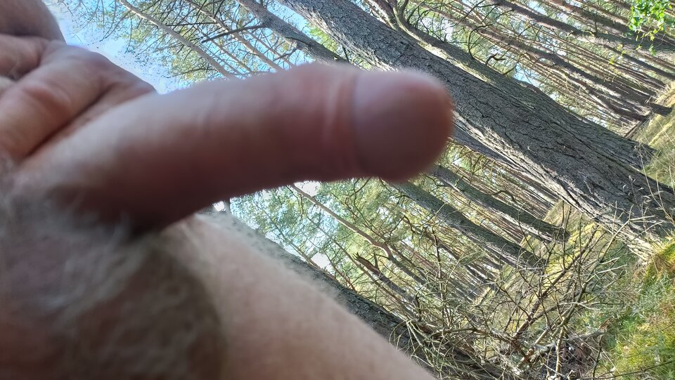 IMG20220815111113.jpg - ardas1