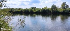 IMG_20220816_131455.jpg