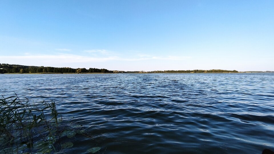 IMG_20220813_181342.jpg - She_He_4_2