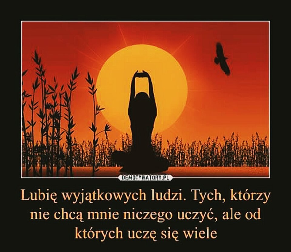 20816_202849424.jpg - Nicci