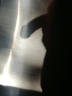 IMG_20220817_064758.jpg
