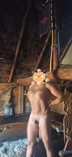 Wyliniały kocur w chacie.jpg