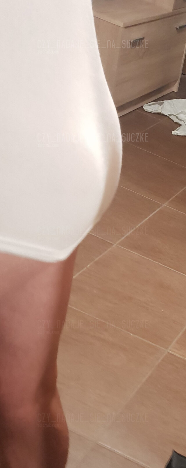 czy_nadaje_sie_na_suczke