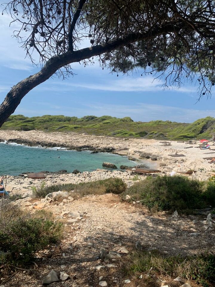 IMG-20220817-WA0008.jpg - Malzenstwo4843