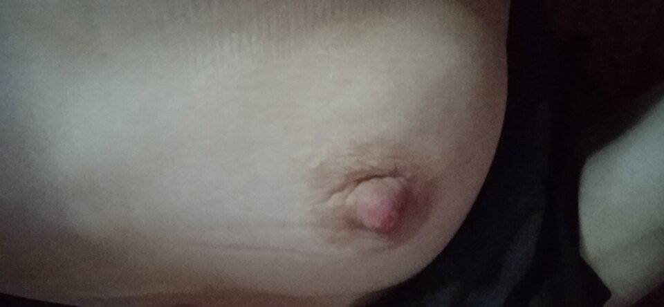 IMG_20220818_042614.jpg - Dorotapa