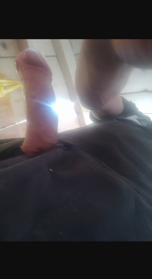 IMG_20220818_101010.jpg - michall1661