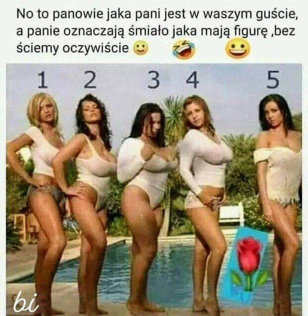 FB_IMG_1660811954520.jpg - Misiaczki9081