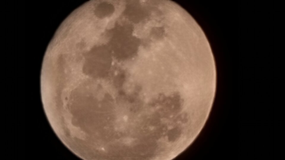 Wilki wyją - digi77