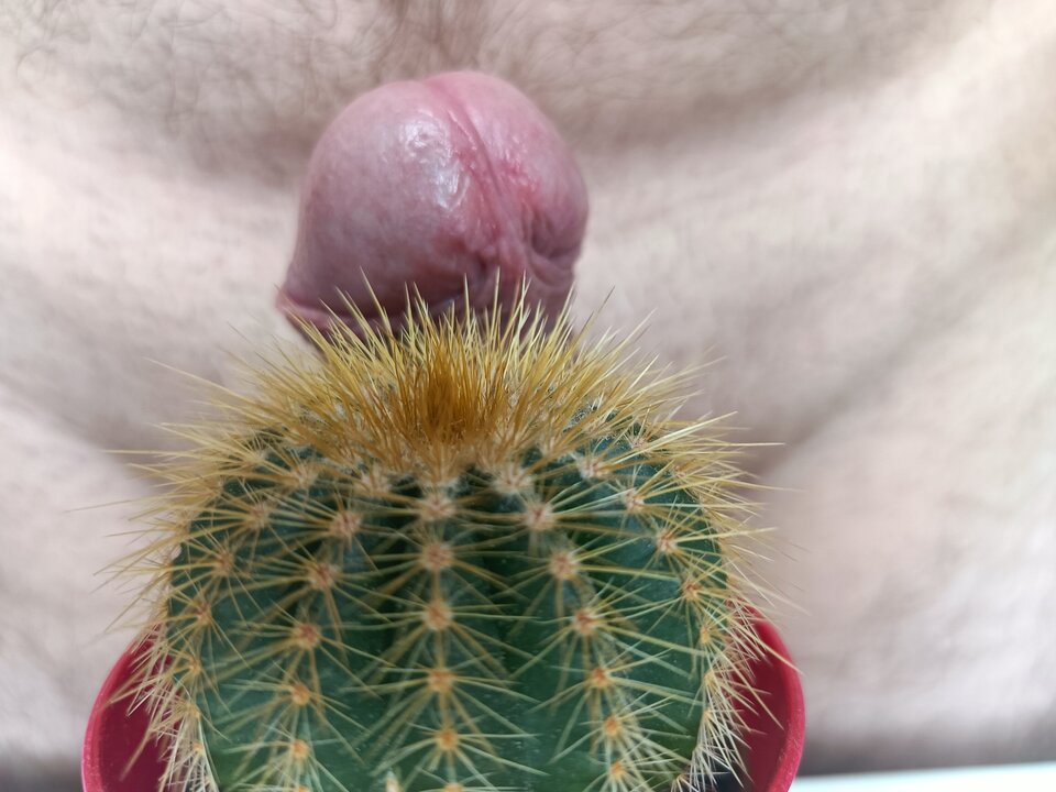 IMG20220819130340.jpg - Jarekx1