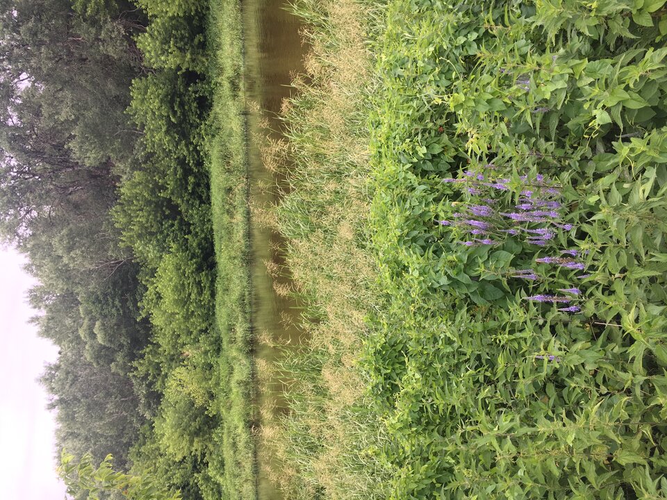 3A90CD62-8C27-4BC6-824B-9D3B85019423.jpeg - coupnatural