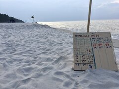 Dębki 2022 - temperatura wody