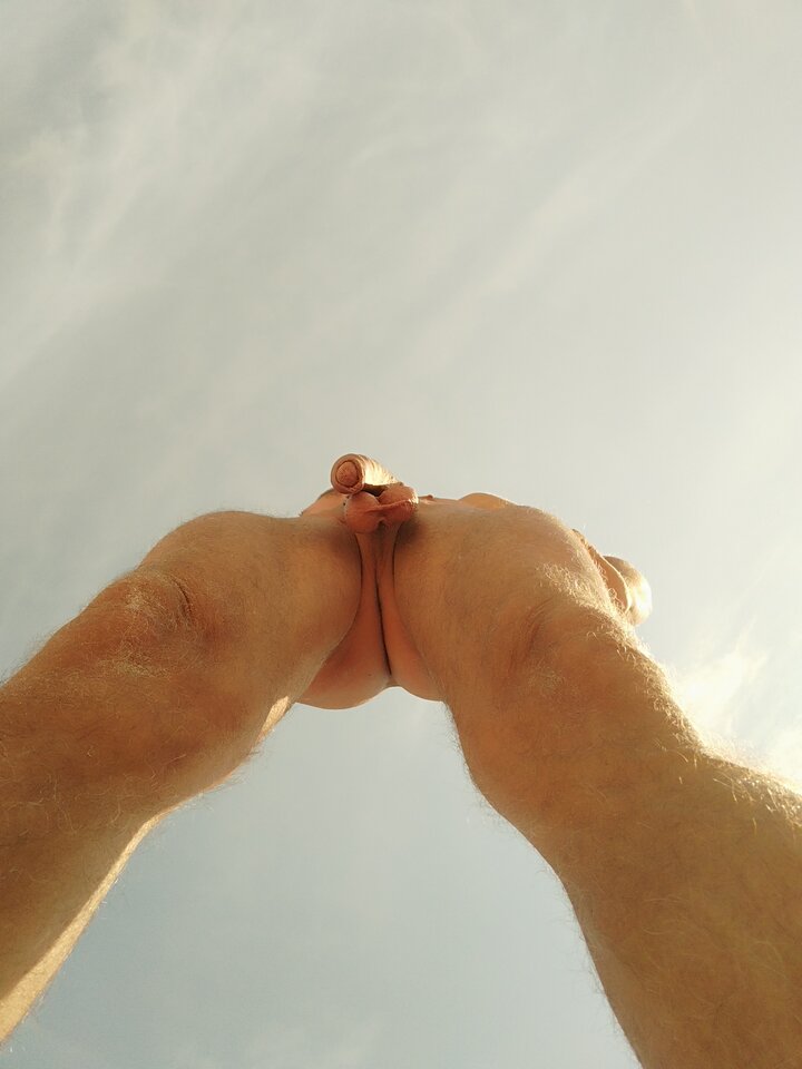 1659747406801.jpg - kafelx