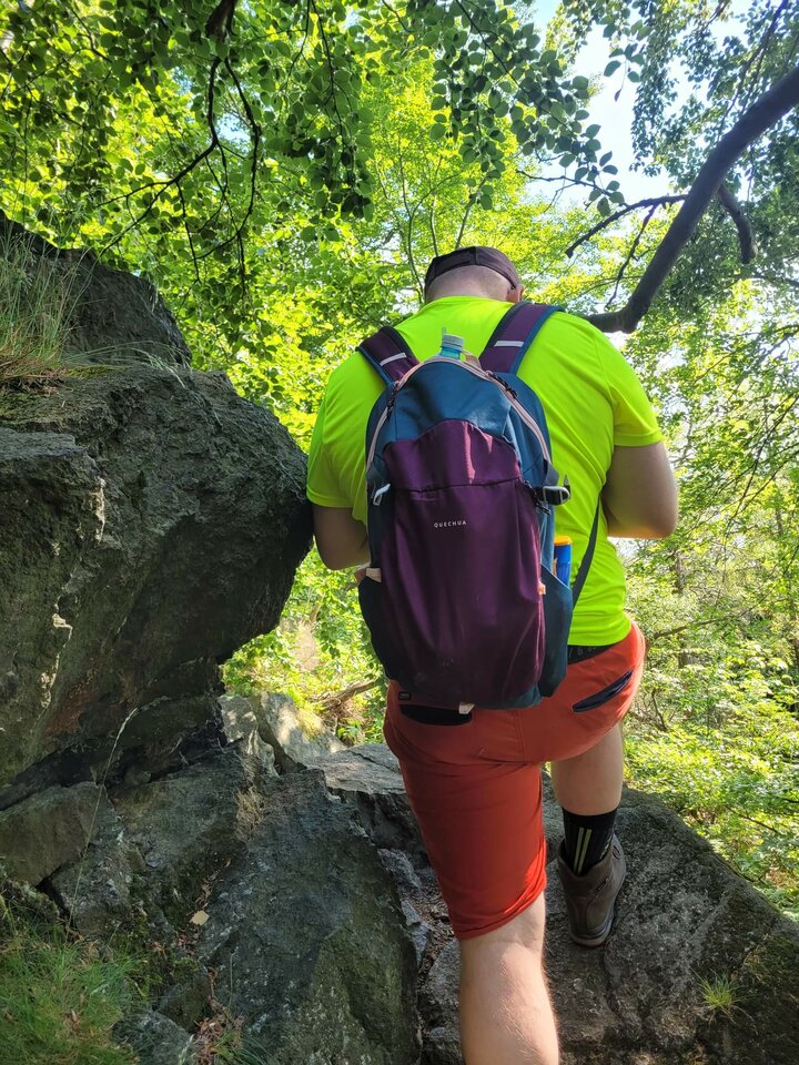 received_697357054692705.jpeg - homo_viator_