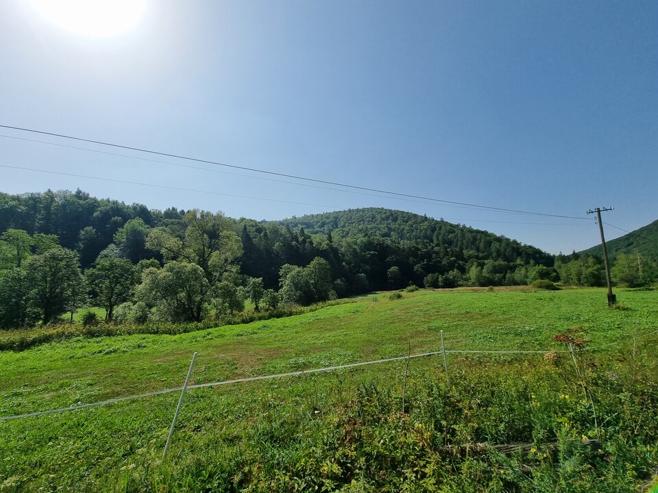 20220819_101621.jpg - Mariusz2893
