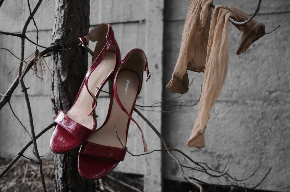 DSC_0540 q.jpg - zaneta201990