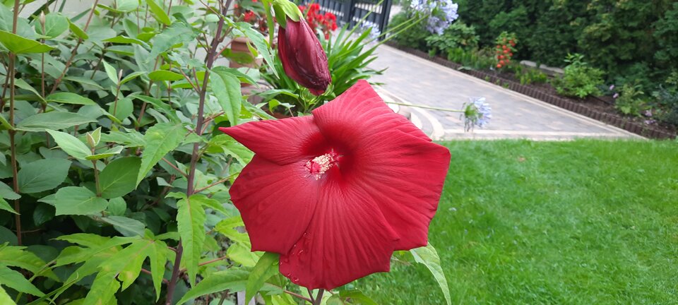 20220820_082238.jpg - koocio