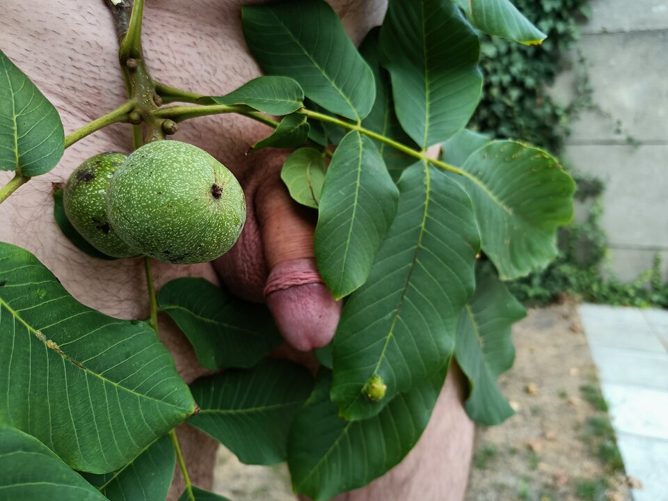 IMG20220820145446.jpg - Jarekx1