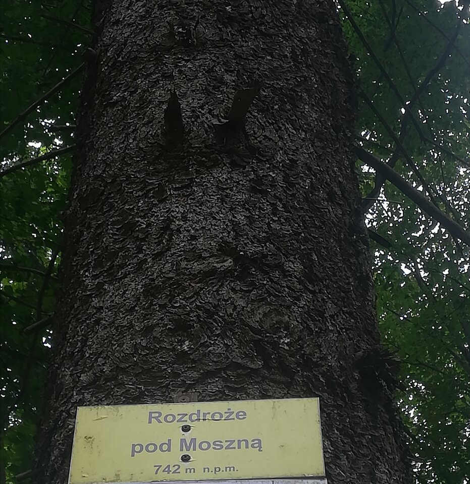 IMG_20220821_001203.jpg - LucyintheSkywithDiamond