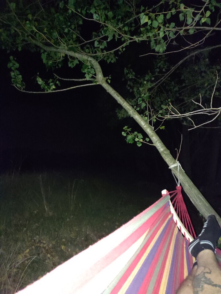 16610346835626440058547928585233.jpg - Nowicjusz33