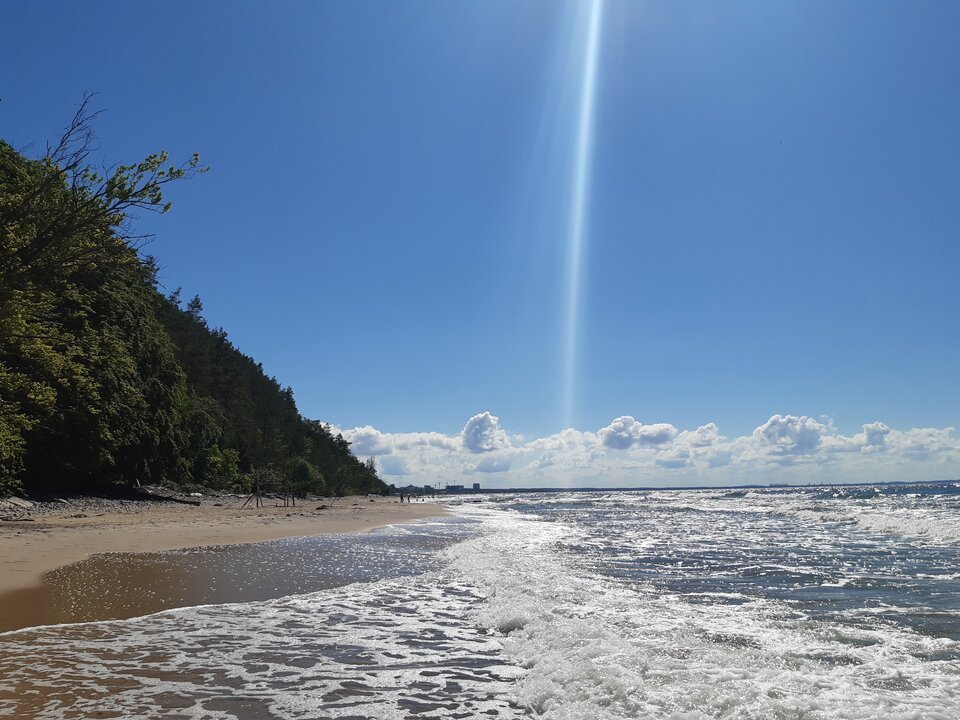 20220628_155424.jpg - torii99