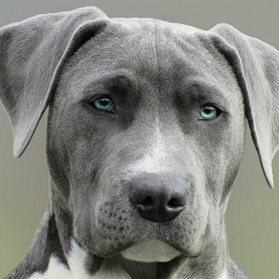 299124495_109843201834679_6311020500536205099_n.jpg - pasztet123