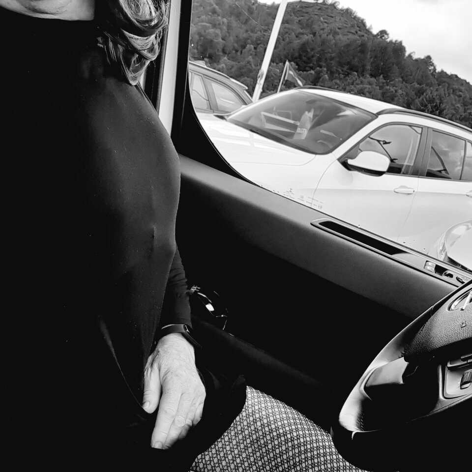 20220821_152130.jpg - Palciusia