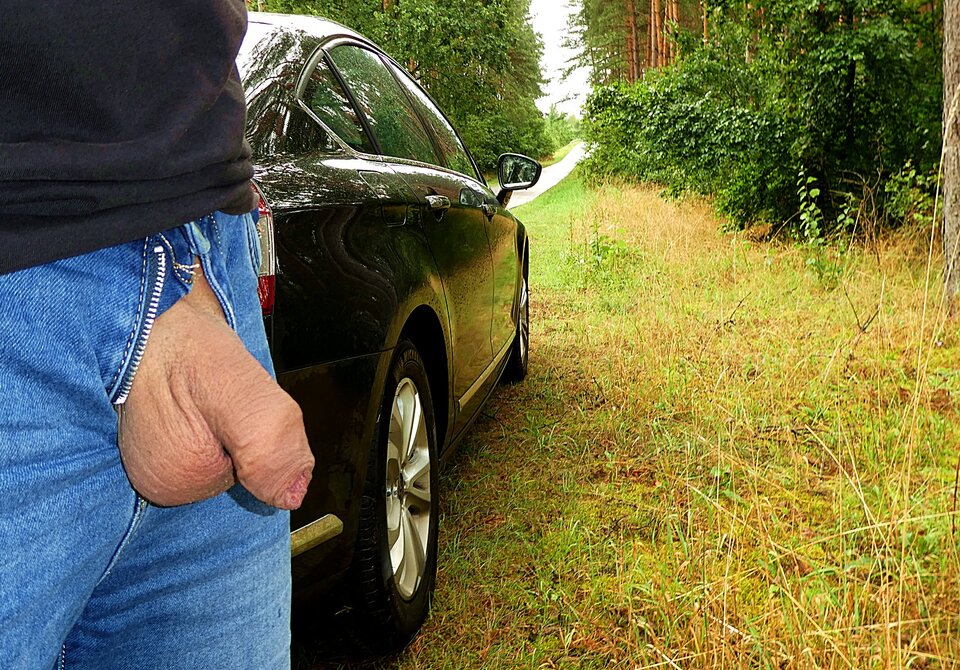 P1000057.JPG - analizator29