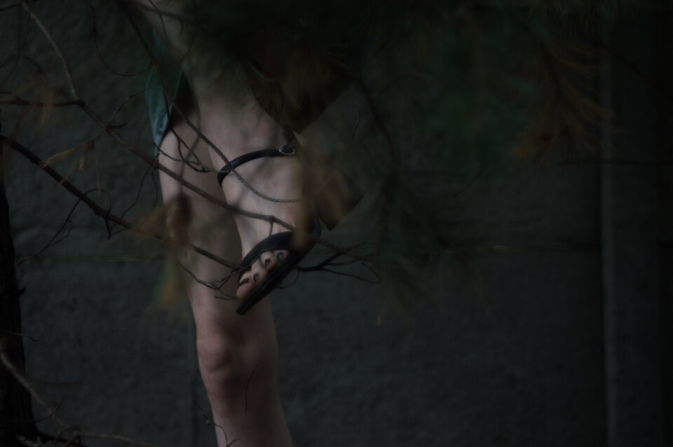 qw8.jpg - zaneta201990