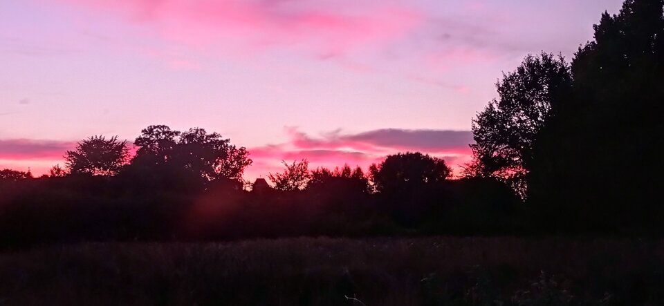 Na spacerku  - kiciunia77