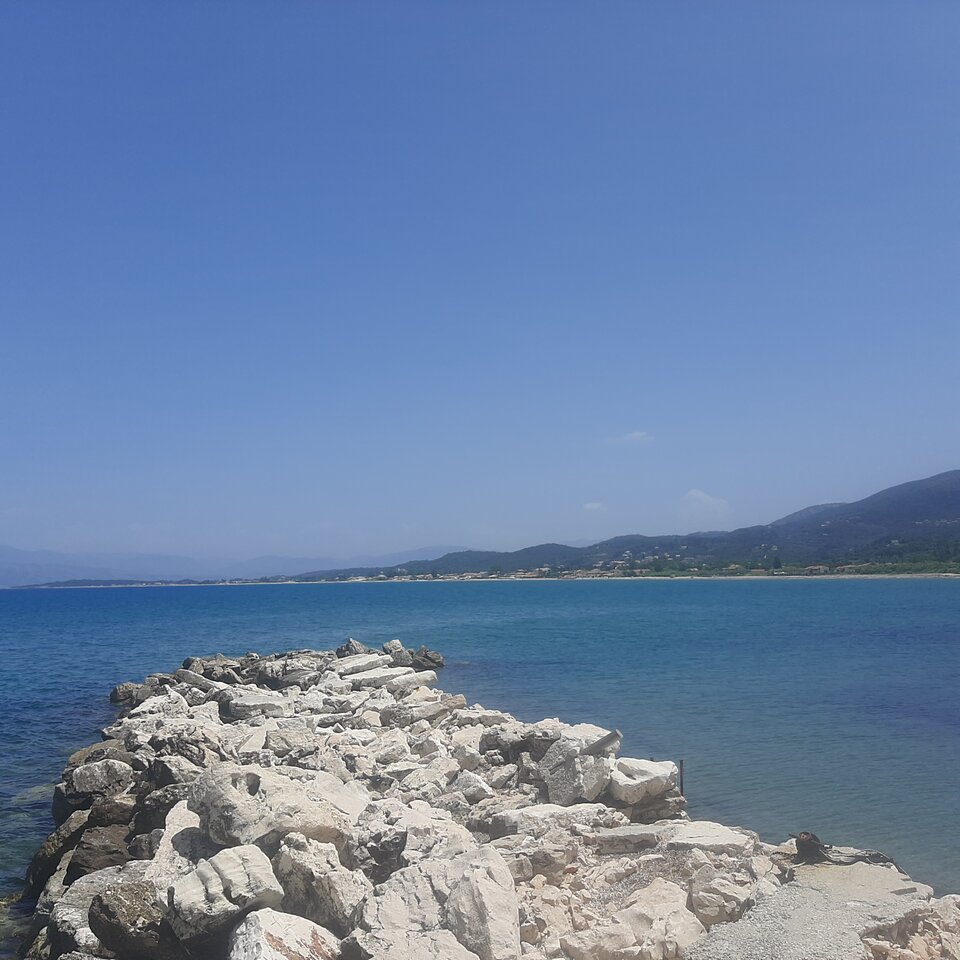 20220606_131017.jpg - A2018