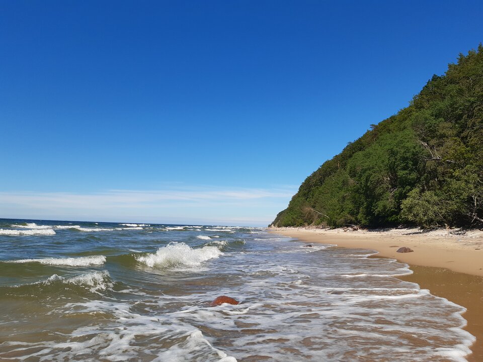 20220628_155413.jpg - torii99