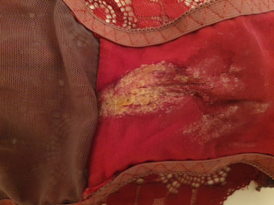 20220822_235434.jpg - wast79